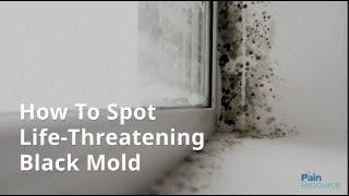 How To Spot Life Threatening Black Mold