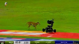 Dog Invades Cricket Field at LPL Finals: Buggy Cam in Hot Pursuit!