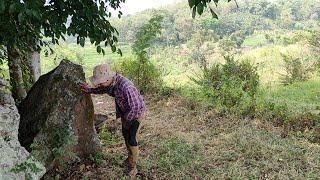 GEGER !!! MUNCUL DAN BANGKITNYA KUDA MAJAPAHIT DI LERENG GUNUNG WELIRANG ?!