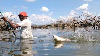 Best Single Hook fishing|Fisherman Catching Rohu fishes in River by Big Hook|Incredble Hook fishing