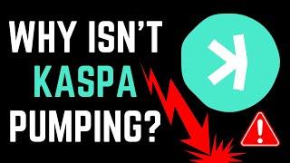 IS KASPA DEAD?  KASPA MARKET UPDATE & PRICE PREDICTIONS  (SHOULD WE BE WORRIED?) 