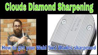 I sharpen Wahl 5in1 blades for the Bravura & Arco clippers