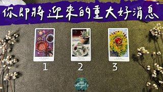 即將迎來的重大好消息是？《人生塔羅占卜》Pick a card｜Angel808天使療癒花園｜獨門真源塔羅｜Mike Wu吳真源老師