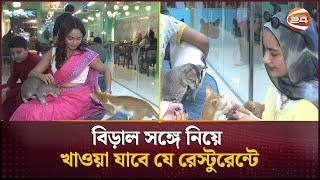 ঢাকায় এবার বিড়ালের রেস্টুরেন্ট | Cat Cafe | Channel 24