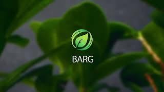 BARG TV PROMOبرگ با چهره جدید