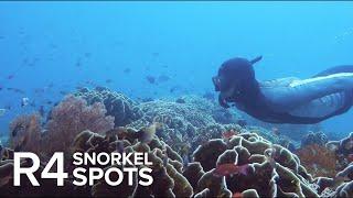 Raja Ampat Snorkeling: Top 14 Sites