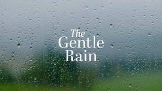 Martin Taylor and Alison Burns - THE GENTLE RAIN (Lyric Video)