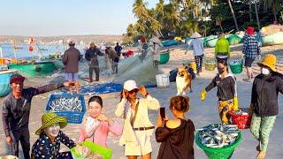 Biển Rạng Dừa Phan Thiết | Bàu Trắng Tiểu Sa Mạc Bình Thuận