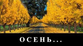 гр. Спасение... "Осень" - в городе тихая осень... (клип)