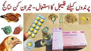 Metronidazole for Chickens and other Poultry Birds | Flagyl for Chickens | Dr. ARSHAD