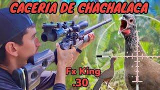 Que poder ‼️ caceria de chachalaca con pcp Fx King .30 / Conócelo