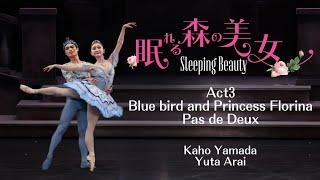 眠れる森の美女第3幕よりフロリナ王女とブルーバードのグラン・パ・ド・ドゥ blue bird and princess Florina Pas de Deux　山田佳歩×新井悠汰