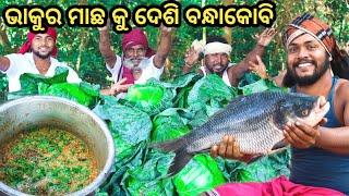 ଭାକୁର ମୁଣ୍ଡ କୁ ଦେଶି ବନ୍ଧାକୋବି || Giant Fish Head with Country Cabbage Curry || Katla Fish Recipe.