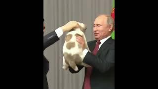 Наш президент Путин