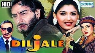 DILJALE | Movie | Famous Dialogue | Ajay Devgan By Mujahid Niaz | Tik Tok Musically Video