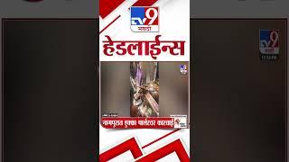 Tv9 Marathi News Top Headline Today | 1 June 2025 | 1 PM | 4 Minute 24 Headline Maharashtra 3