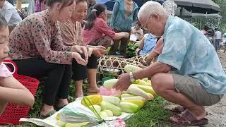 Harvest melons in the mountains and bring them to the market to sell and cook - Ly Thi Vy