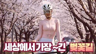 세상에서 가장~긴 벚꽃길 라이딩 l 오동선 대청호 벚꽃길