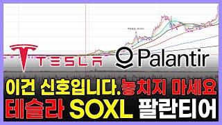 이건 신호입니다. 절대 놓치지 마세요. 테슬라 SOXL 팔란티어 애플