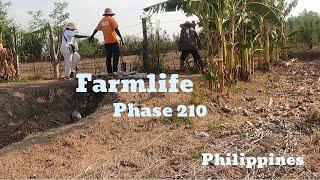 Farmlife Phase V210 || DAY1 PART 2 FARMLIFE VISIT OF BIG BOSS AND FAMILY