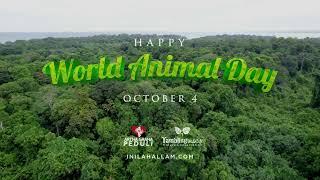 World Animal Day 2022