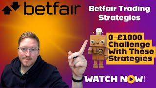 Betfair Trading Strategies | Greyhound Strategies week 1