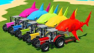 LOAD AND TRANSPORT GIANT SHARKS WITH MASSEY FERGUSON TRACTORS - Farming Simulator 22