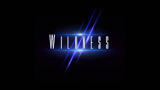 Wildness - Wildness