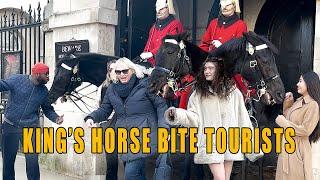 King's Horse bite Tourists ! Funniest Moments of The Year