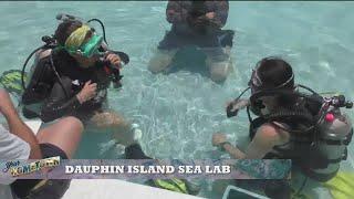 Sea Lab in Dauphin Island educates the youth on local marine life