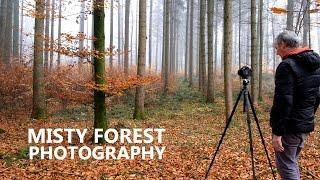 Landscape Photography: Autumn Forest in Dense Fog