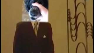 Beatbox Dog Sings Trololo