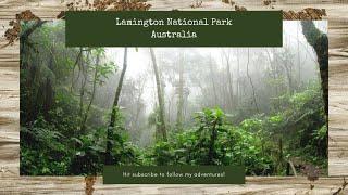 AUSTRALIA TRAVEL VLOG #1: Lamington National Park, Queensland, Australia. Road trip from Gold Coast
