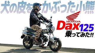 ホンダ Dax125 乗ってみた！【モトブログ】HONDA DAX 125  Motorcycle review in Japan