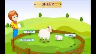 Amazing Farm Animals! *Animal Science for Kids*
