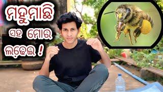 ମହୁମାଛି ମାଡ଼ିଆସିଲେ ଆମେ VIDEO କଲା ବେଳେ। Bee attacked ! 