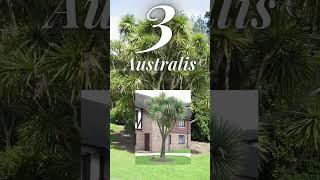 5  types of cordyline plant #shorts #houseplants #cordyline