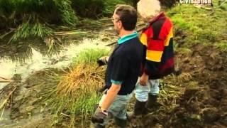 Time Team S06E08 ReedhamMarshes,. Norfolk