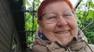 А ЗА ОКНОМ..... ИЛИ КАК Я ПРОЗЕВАЛА МОЮ РАССАДУ! / 1626
