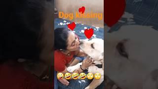 dog kissing and happ #short