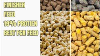 How To Make Golden Masri Finisher Feed || #feedchannel  #feedshorts  #feedformulation #feedformula