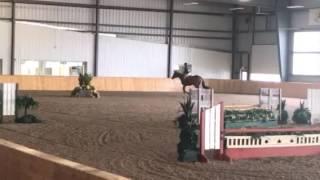 Palgrave Week3, Round 1 - Hat Trick and Gabrielle Gallant