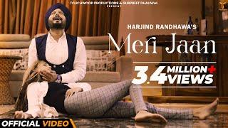 Meri Jaan Official Video | Harjind Randhawa | New Punjabi Song 2022 | Touchwood | Latest song 2022