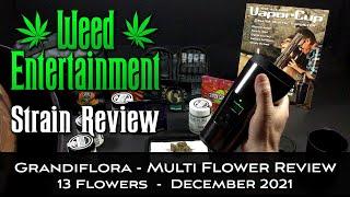 Grandiflora - Multi Flower Review - 13 Flowers - One Winner - December 2021