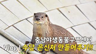 충남야생동물구조센터 Vlog l 수달 은신처 만들어주기!!