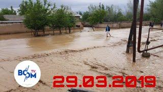 SUV TOSHQINI SAMARQAND