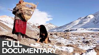 World's Last Shepherdess of the Glacier | Free Documentary