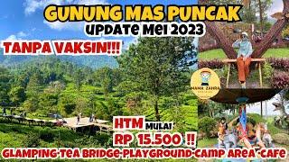 AGROWISATA GUNUNG MAS PUNCAK BOGOR |Gunung mas puncak bogor 2023 |tea bridge gunung mas puncak bogor