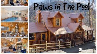 Paws In The Pool A Luxury Cabin In The Smoky Mountains With 3 Bedrooms 3 Bathrooms Sleeps 10 #cabin