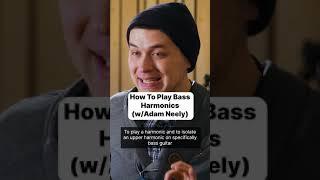 How To Play Bass Harmonics (w/Adam Neely) 